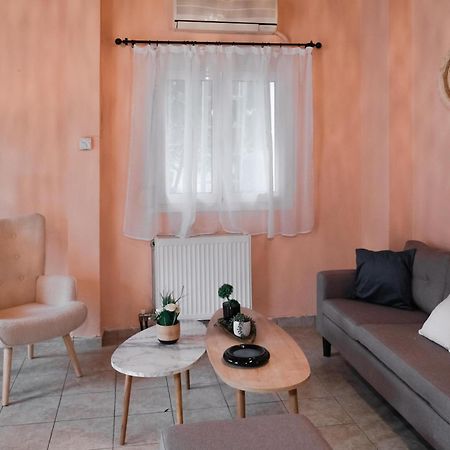 Apartamento Cozy House In Pelion Káto Lekhónia Exterior foto