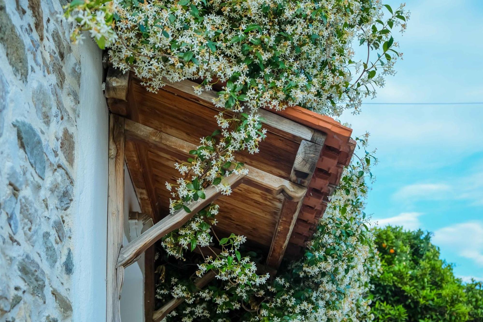 Apartamento Cozy House In Pelion Káto Lekhónia Exterior foto